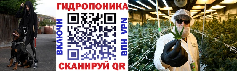 Купить закладки  Кириши  Канабис марихуана 